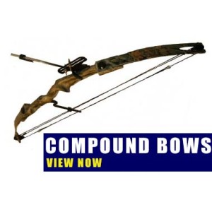 Compound Bows Compound Bows